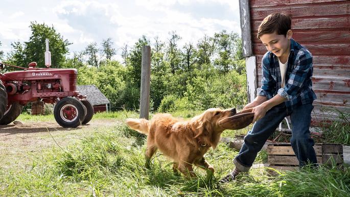 Az A Dog’s Journey májusban lesz látható a mozikban