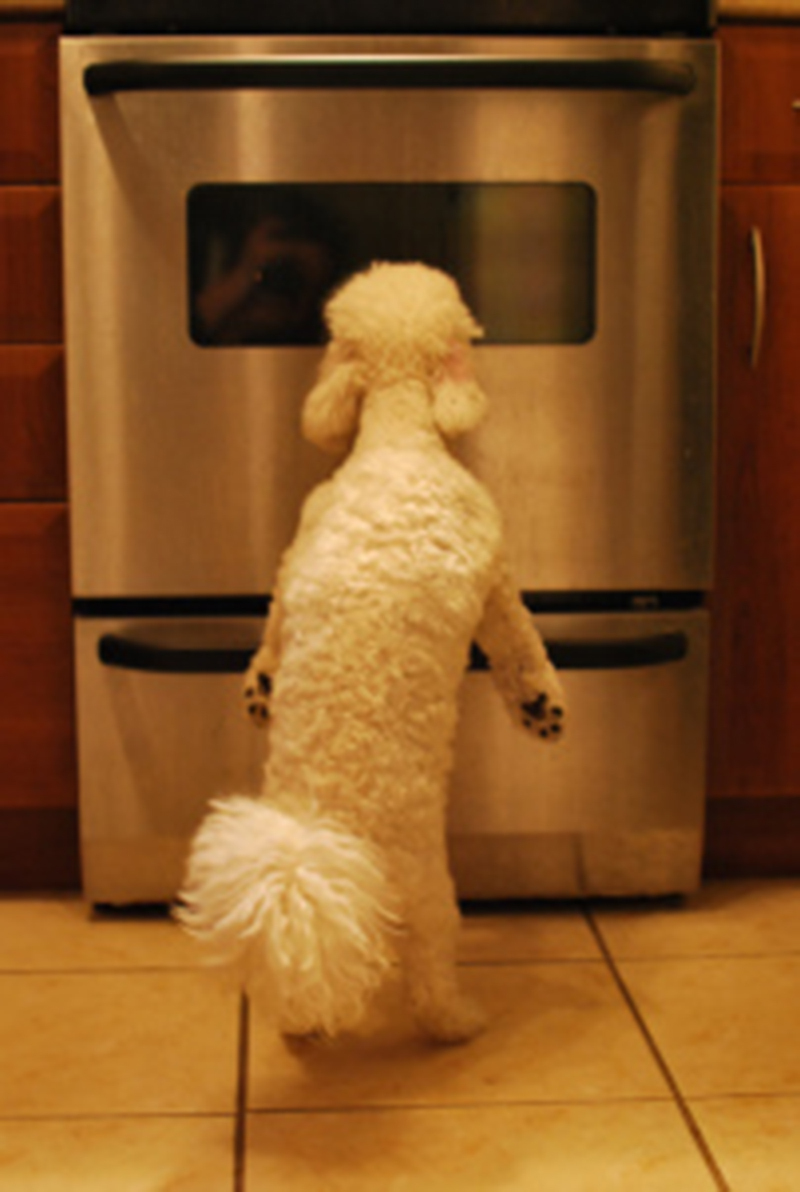 Kutyánk biztosan nagyon szeretni fogja a finomságot!