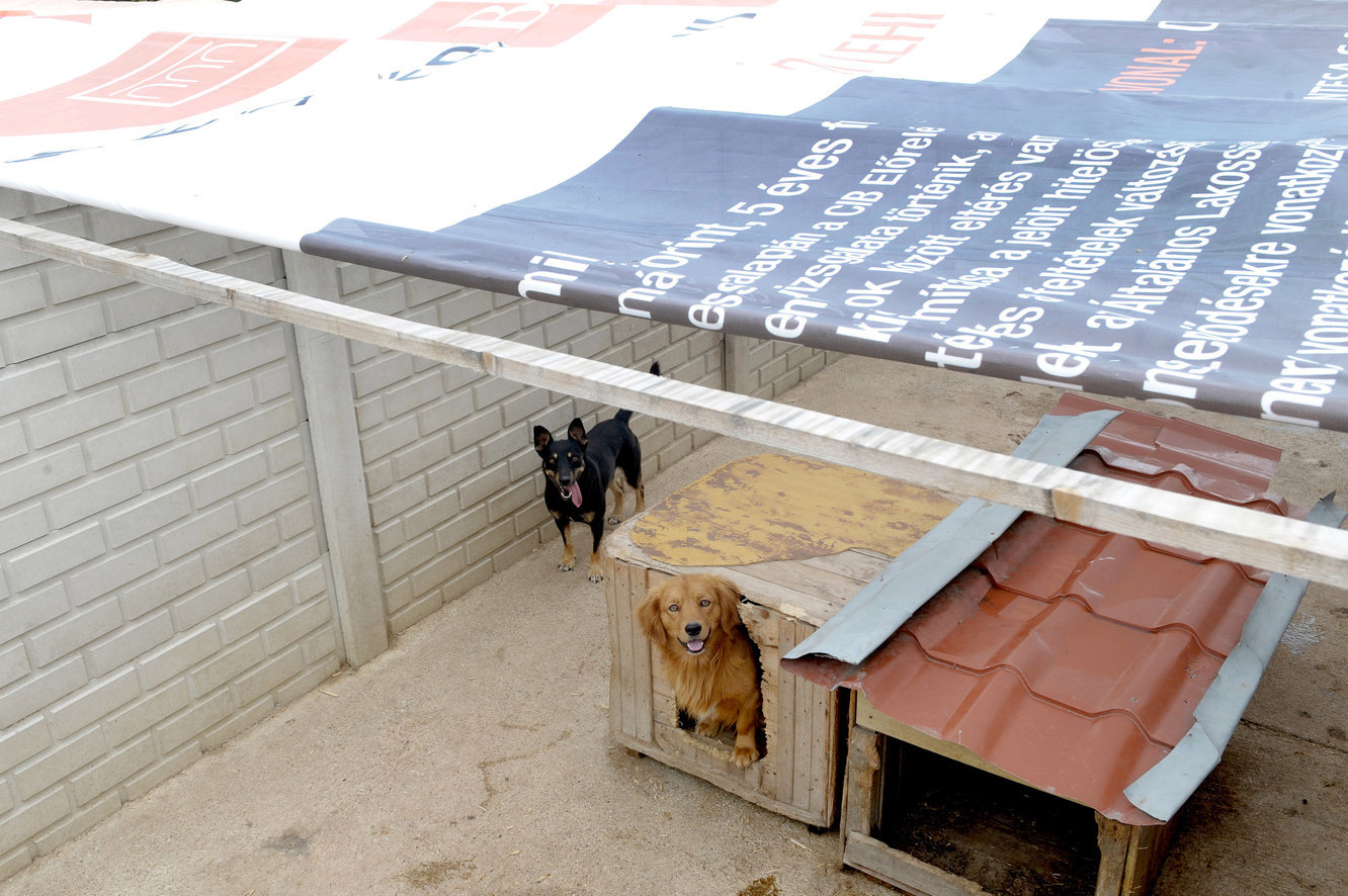 A CIB Bank adománya az Ugat-Lak Alapítványnak A CIB Bank adománya az Ugat-Lak Alapítványnak