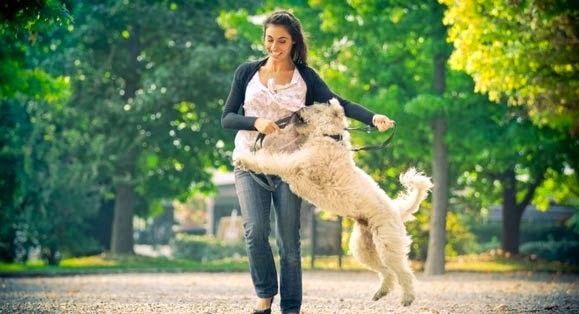 Játékból se engedjük ránk ugrani