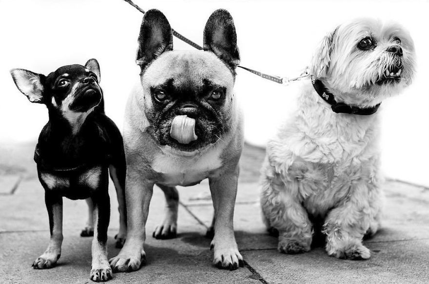 London, Egyesült Királyság