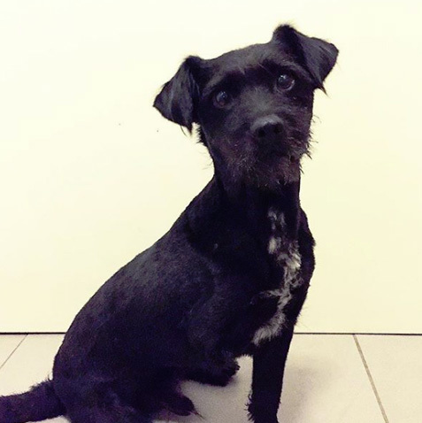 @_instazim_ @_instazim_