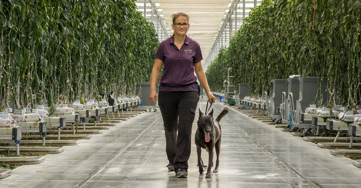 Chili és vezetője, Tina Heide