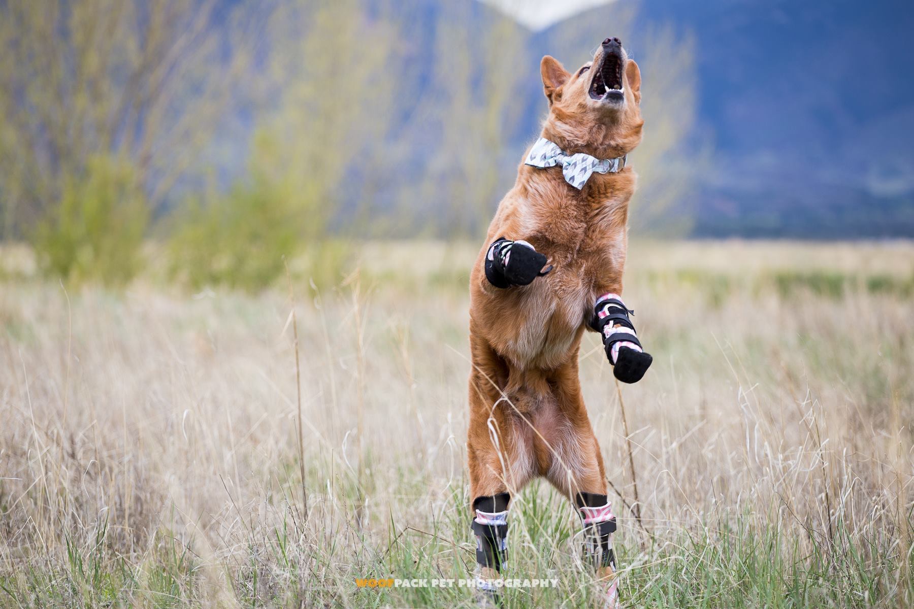 A protézisek nem zavarják a játékban és a mozgásban