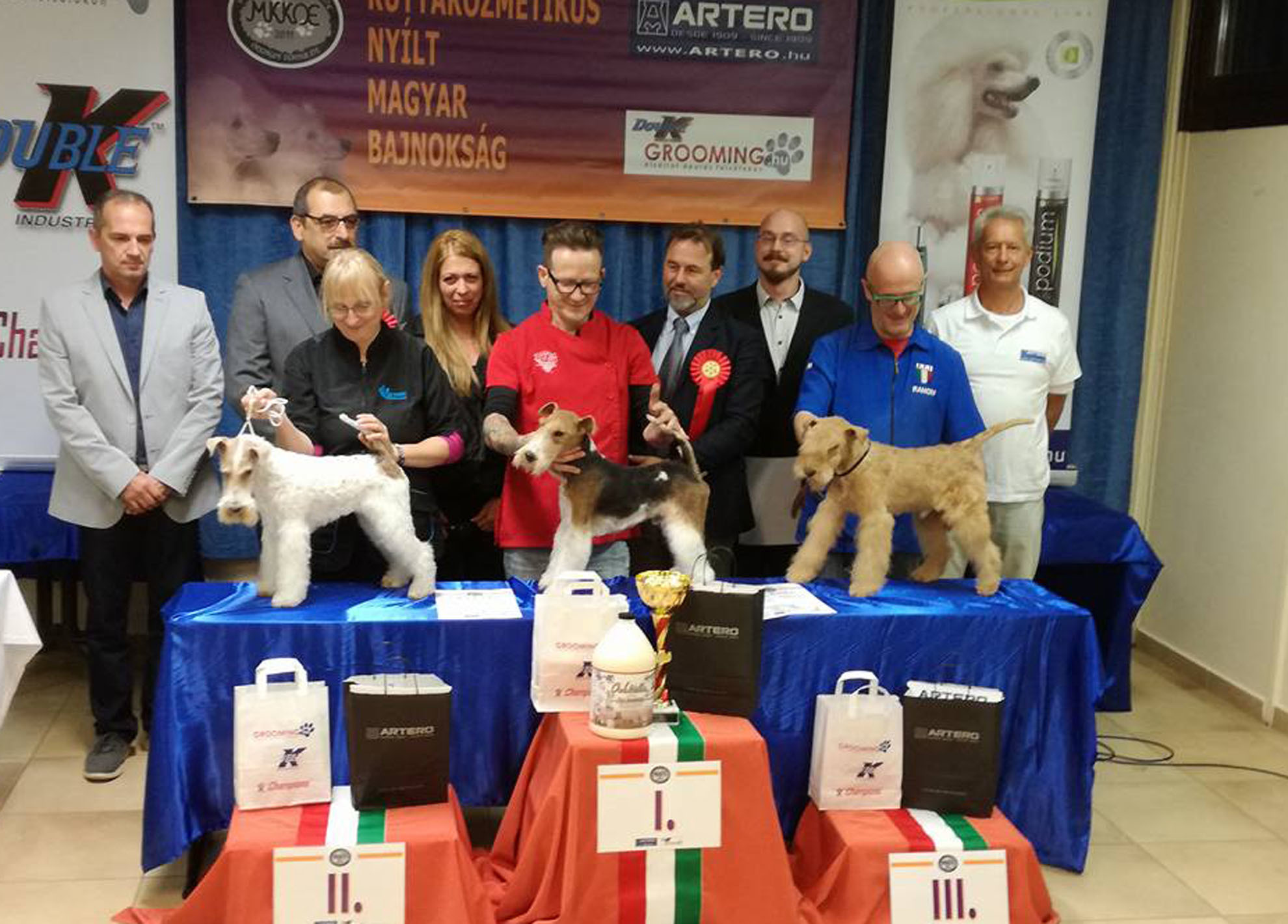 A trimmelős fajtájú kutyák legjobb kozmetikusai