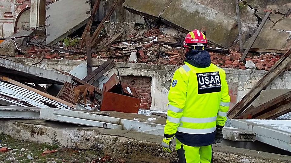 Symba keresés közben a romkutató mentőkutya mestervizsgán - Ausztria (2015)
