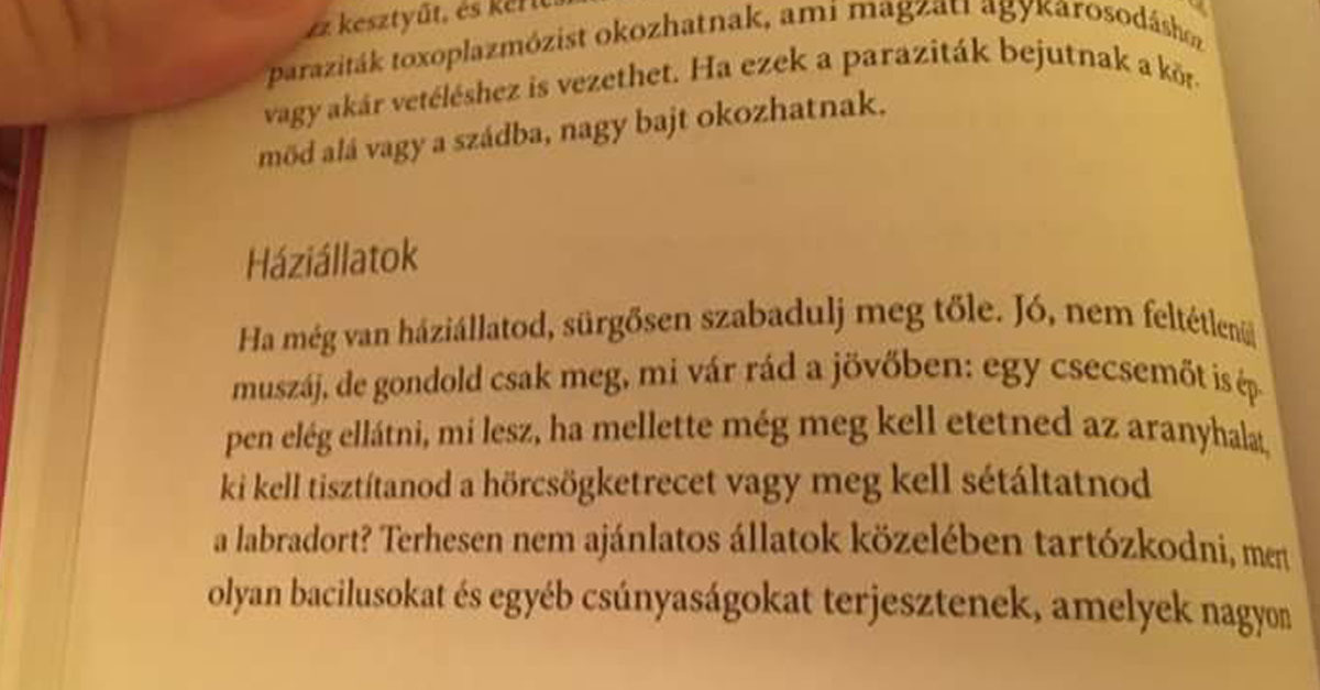 Liz Fraser Hoppá, jön a baba! - Túlélőkalauz modern anyukáknak című könyvének egy bekezdése. Nem is szeretnénk többet olvasni belőle - a Szerk.
