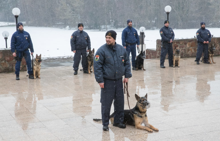 Rendőrkutyákat és vezetőiket tüntettek ki - az átadáson a megye összes rendőrkutyás párosa jelen volt