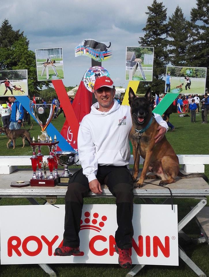 Kivágó Arnold Kivágó Arnold