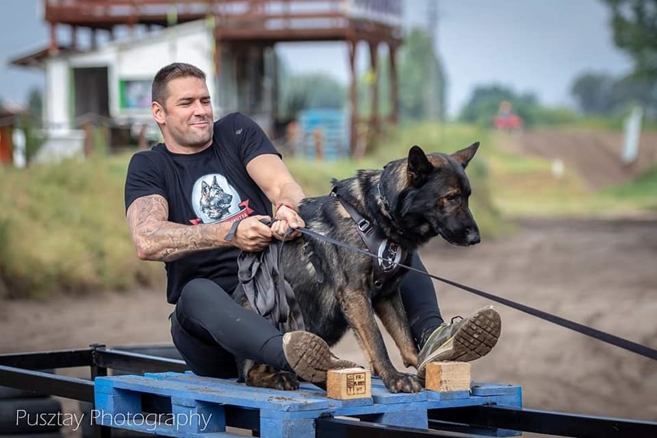 A nyers erő, a kitartás és az akarat versenye lesz a DogAtlon