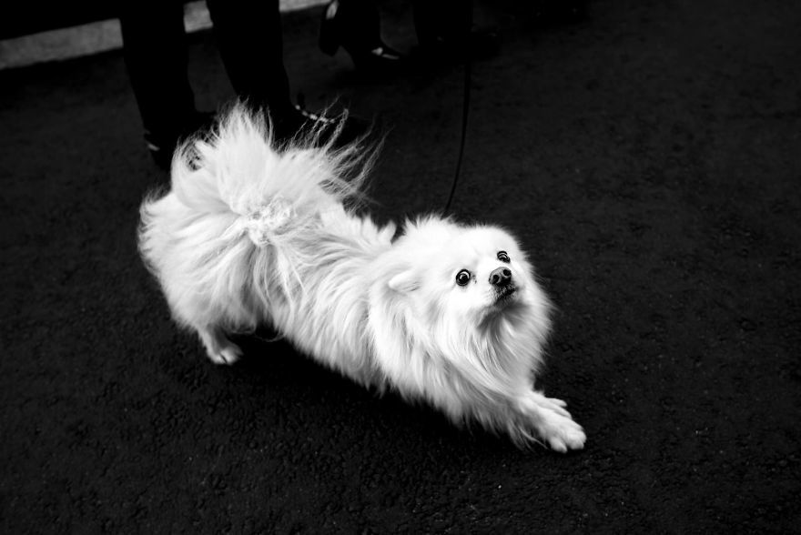 Helsinki, Finnország