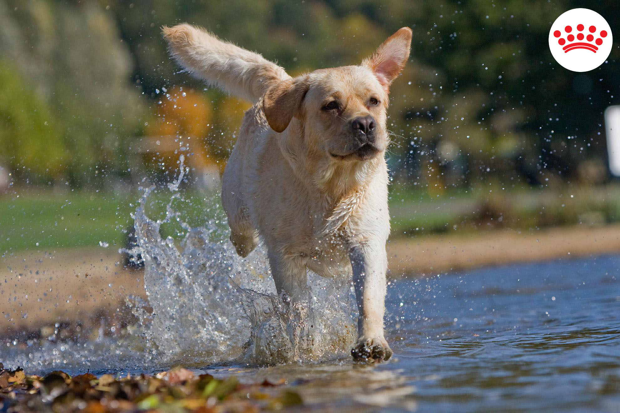 A tavasz beköszöntével eljött a nagy kirándulások és túrák ideje