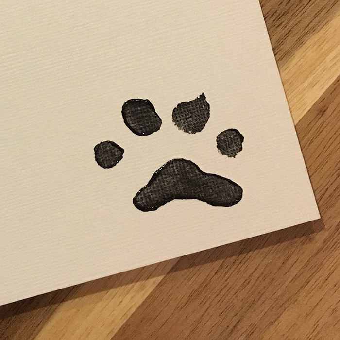 A négylábú művész aláírása