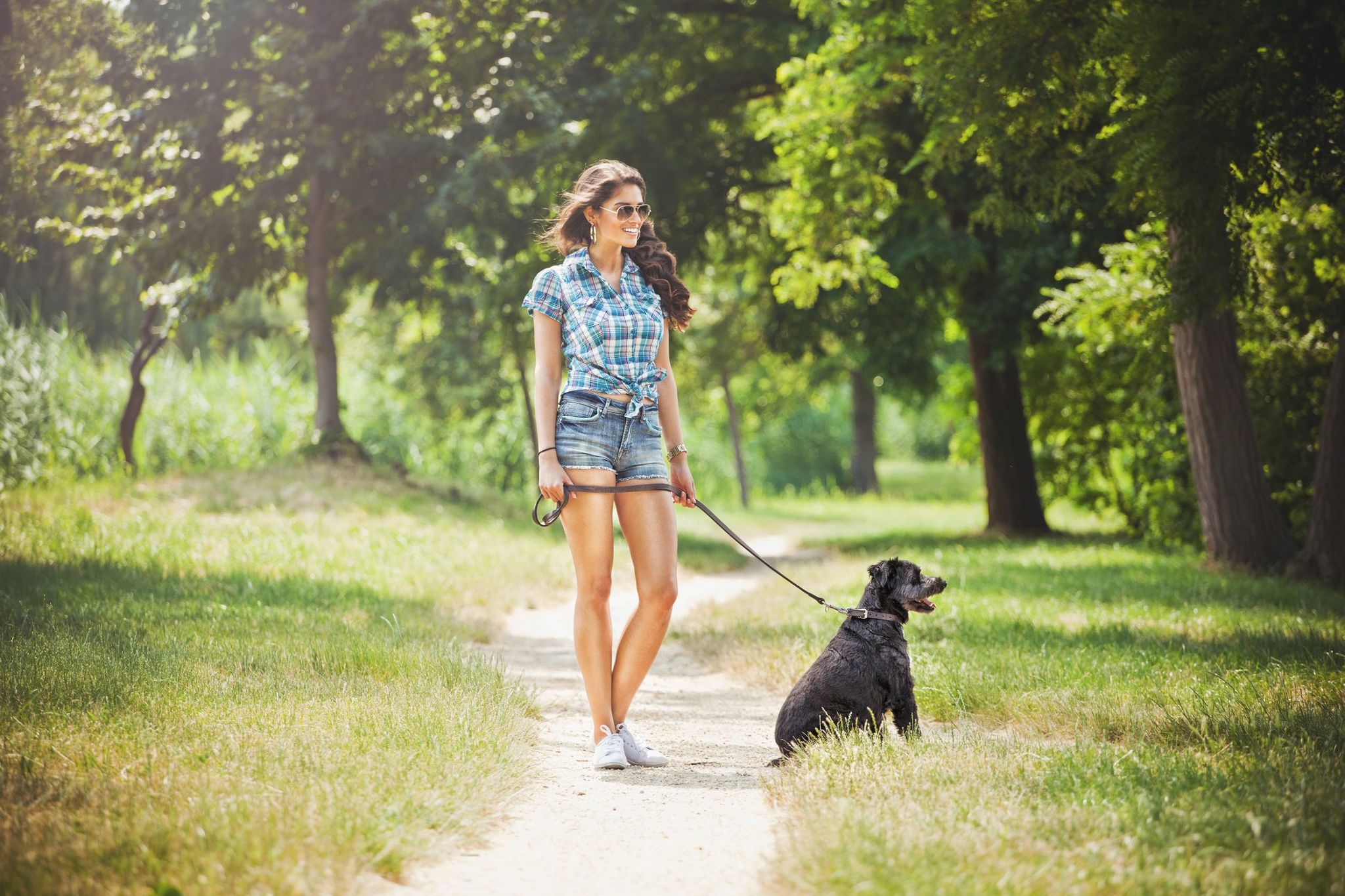 Kutyával Sárváron is! Kutyával Sárváron is!