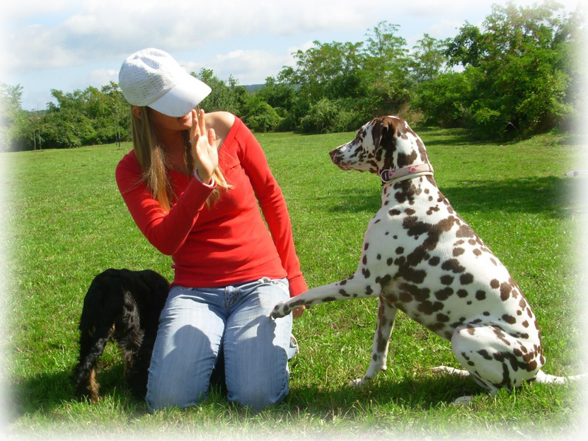 Maurer Lilla és Milka