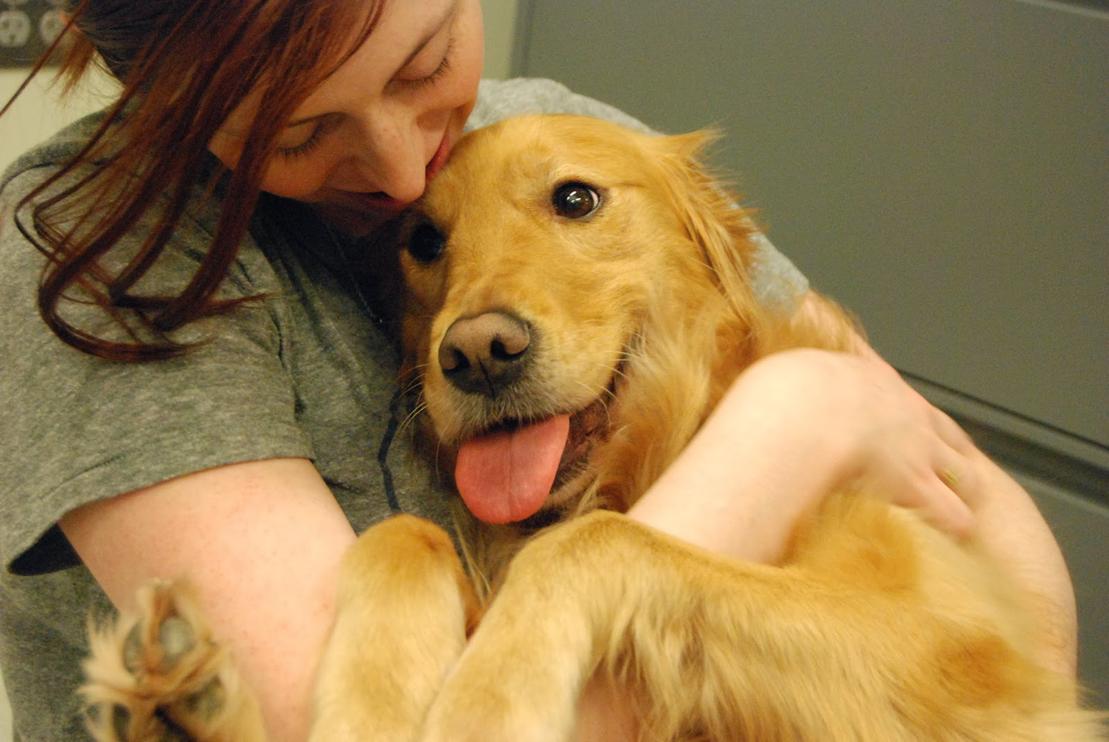 Kedvencünk minden helyzetben megvigasztal