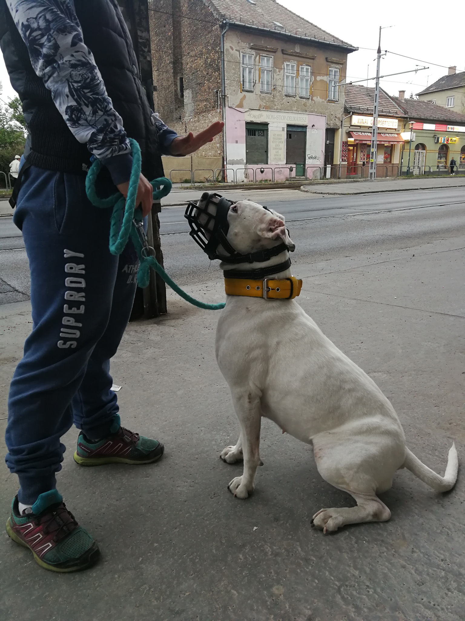 A helyben maradás kialakítása első lépés is lehet az élelem ellopásának megelőzésére.