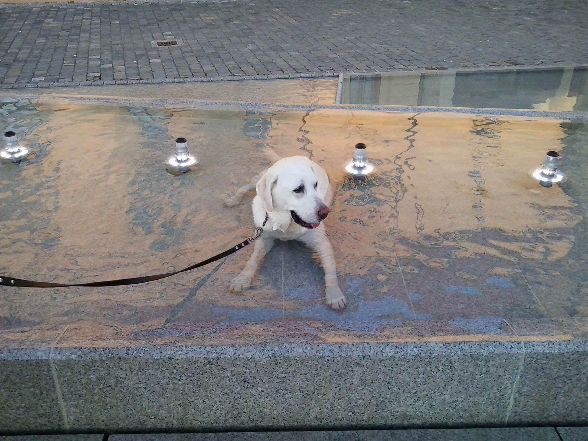 Lili nyaral a Balatonon