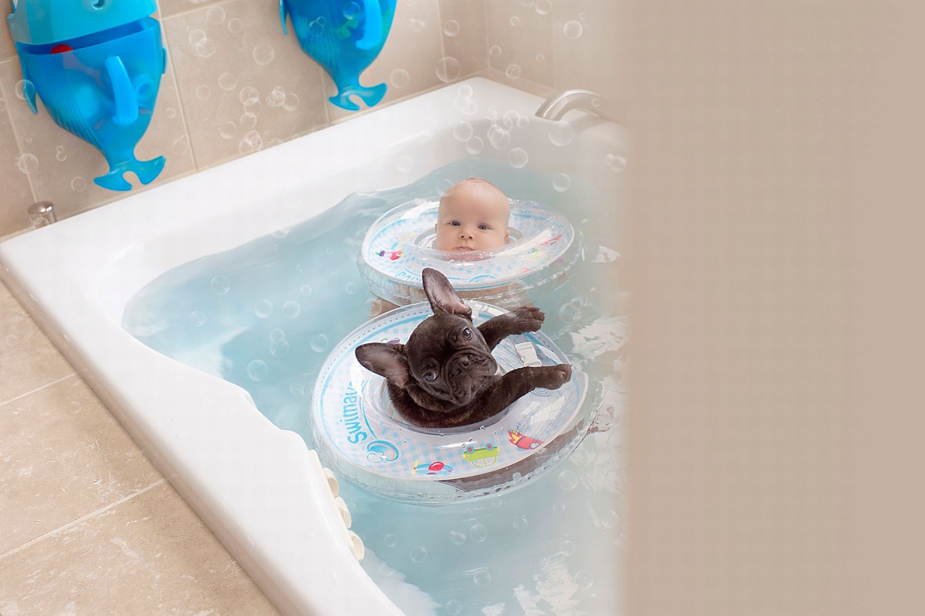 Dilan együtt is fürdik a bulldoggal Dilan együtt is fürdik a bulldoggal