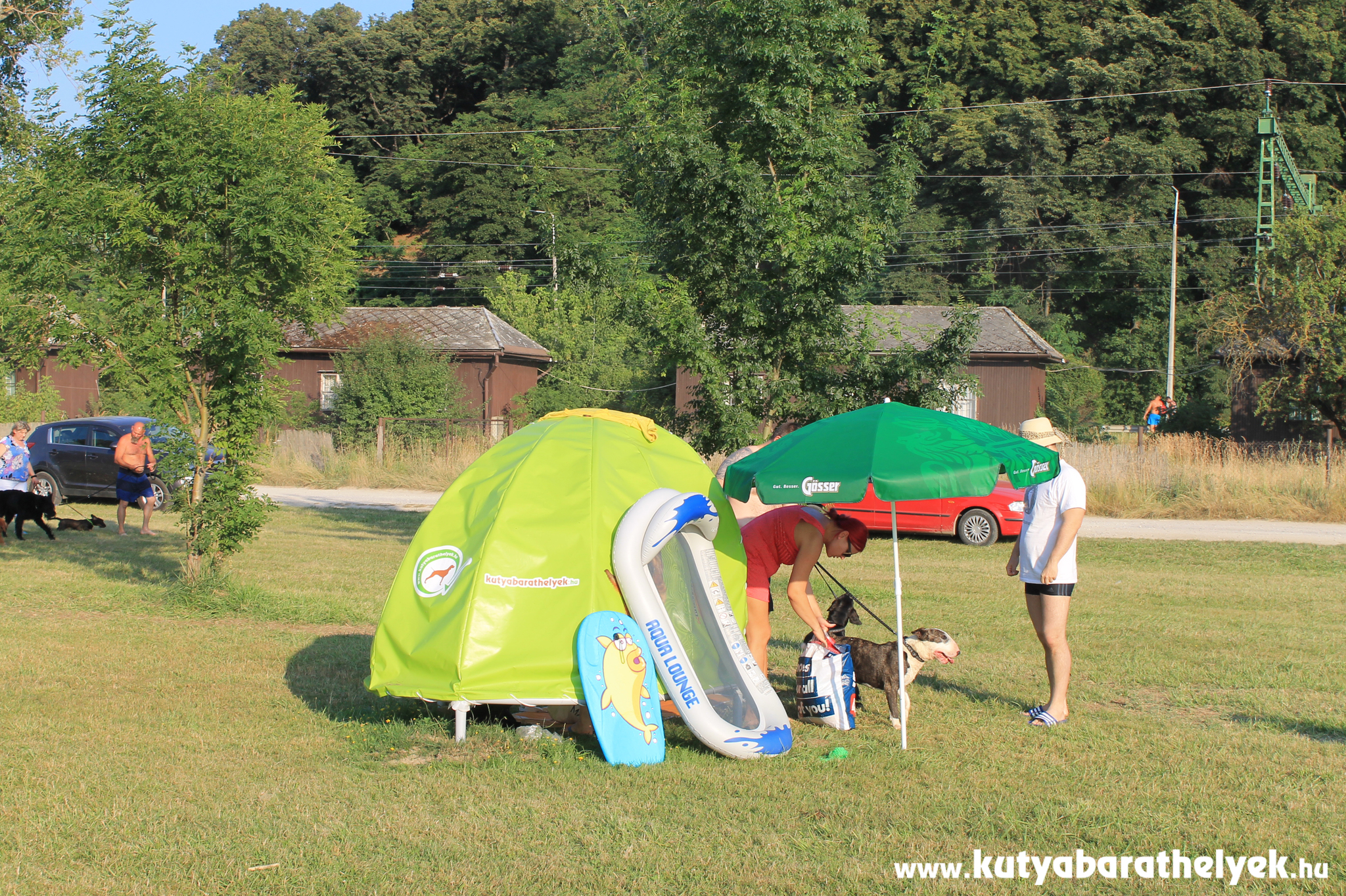 Árnyékoló sátor a Friskies jóvoltából