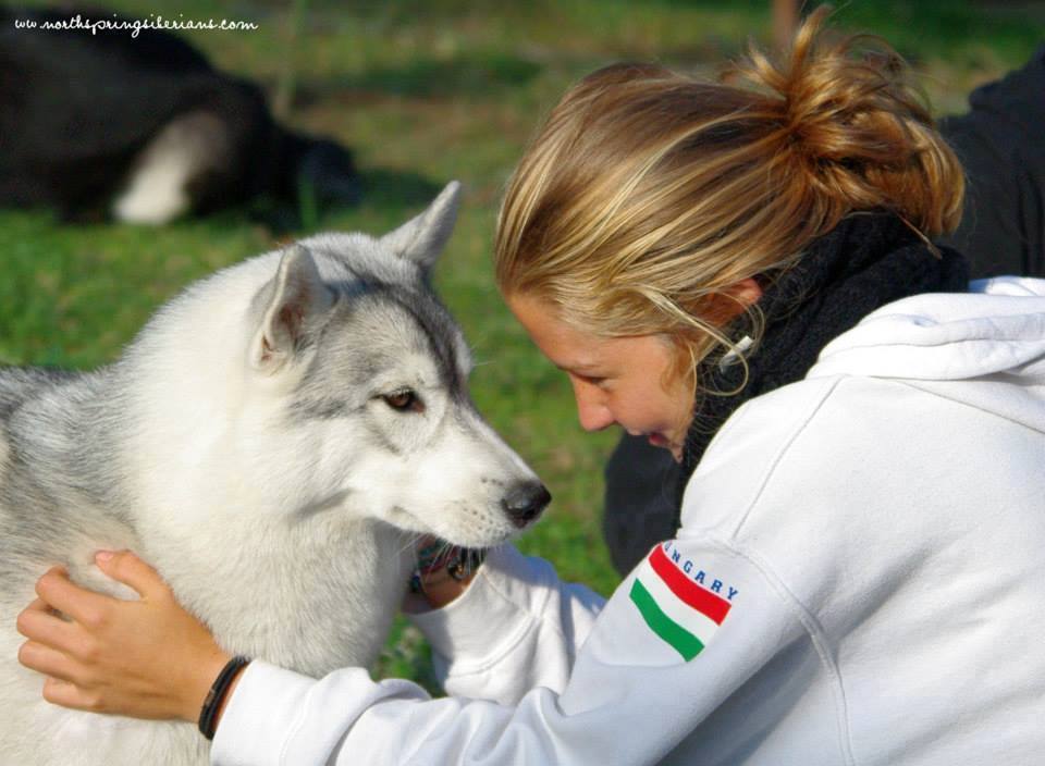 Szánhúzó kutyák és gazdáik versengenek majd