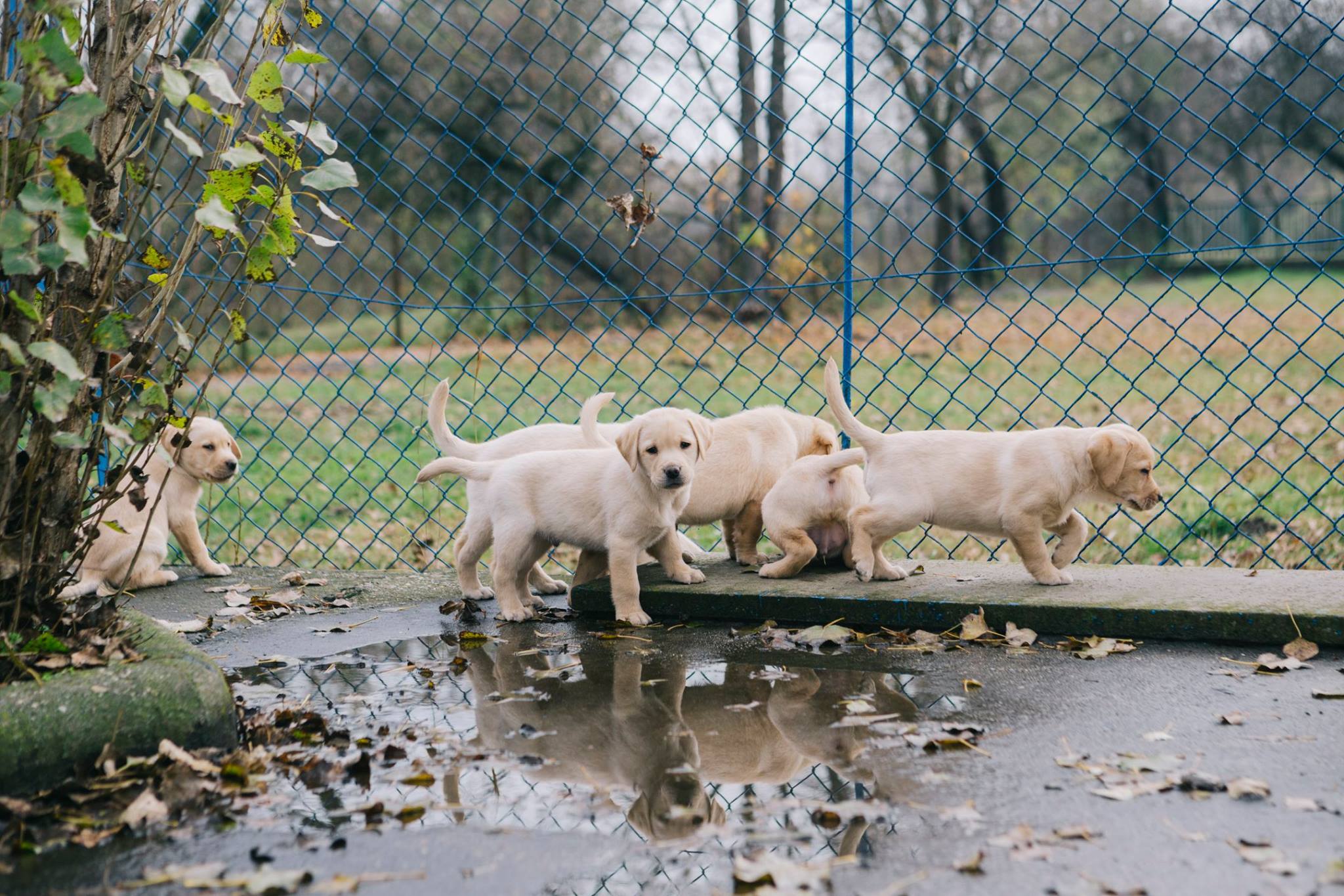 Vajon mindannyian vakvezetőkké válhatnak?