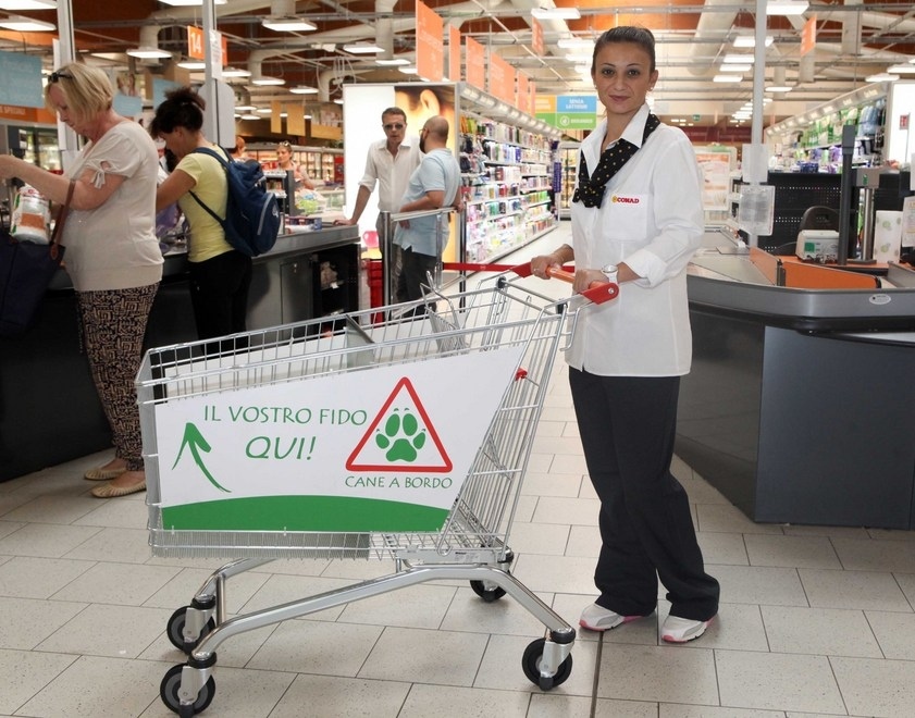 Kutya a fedélzeten! A felirat jelzi a kutyások számára készült kocsikat