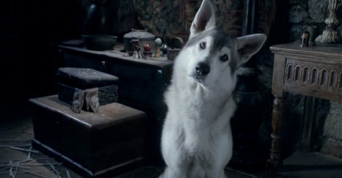 Nymeria, az egyik rémfarkas