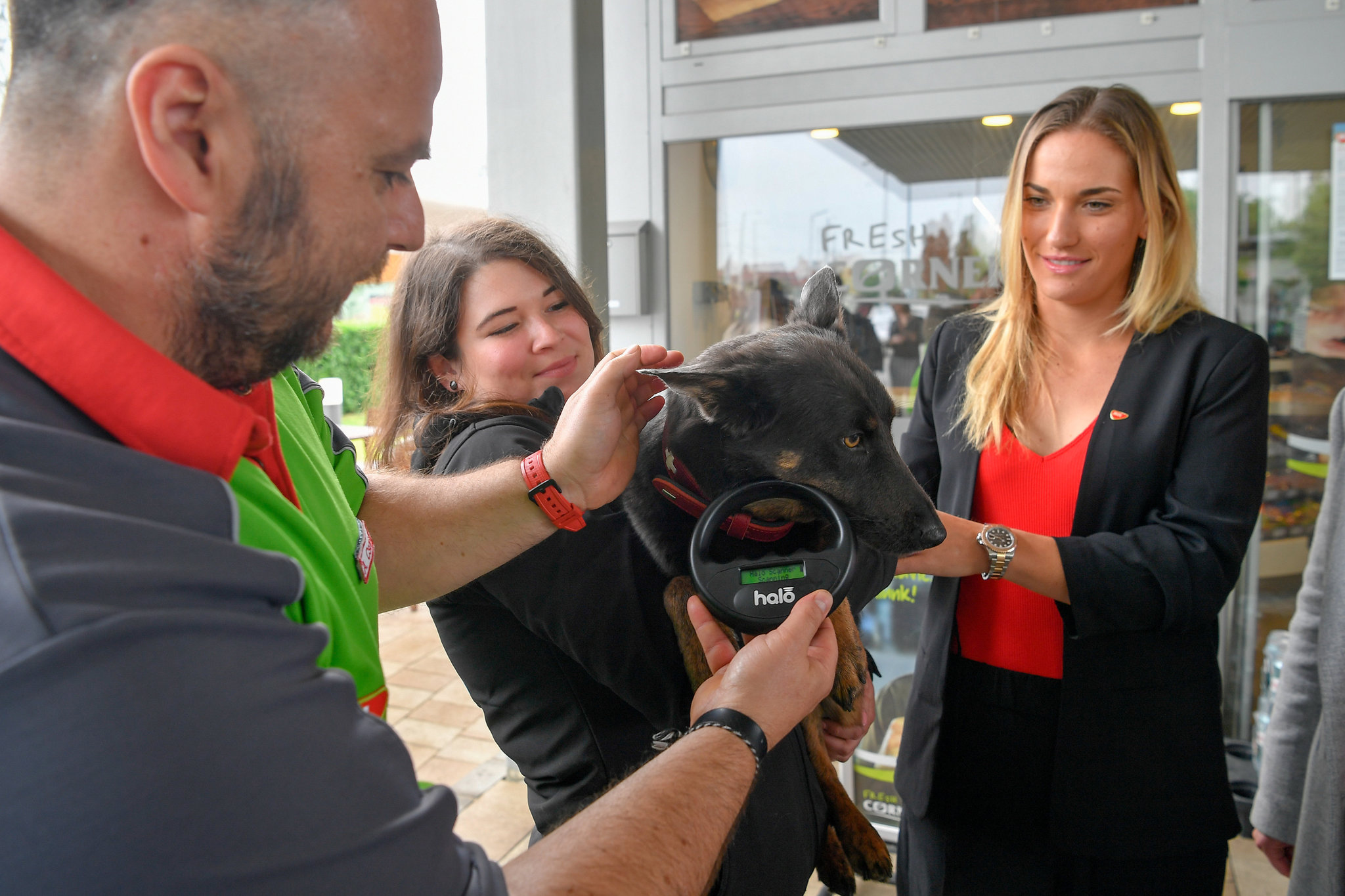 Immár 121 MOL töltőállomáson segíti a mikrochip-leolvasó az elveszett kedvencek hazajutását Immár 121 MOL töltőállomáson segíti a mikrochip-leolvasó az elveszett kedvencek hazajutását