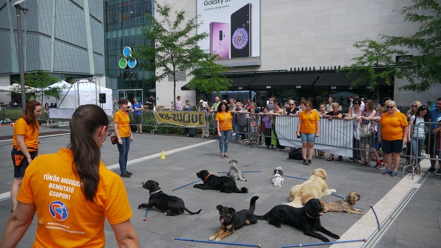 A Tükör Módszer bemutató csoportja