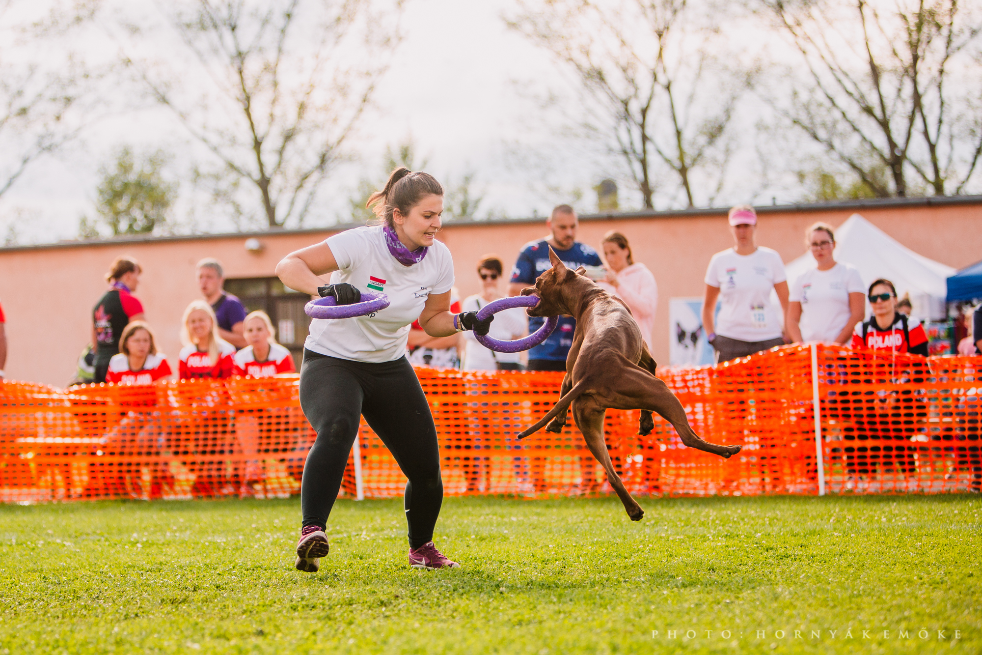 Több csoportban és kategóriában zajlott a verseny - A képen a Multichampion 2019 harmadik helyét megszerző Papp Dóra és Tammy