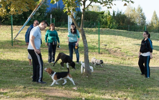 Nagykanizsa első kutyafuttatója (2014)