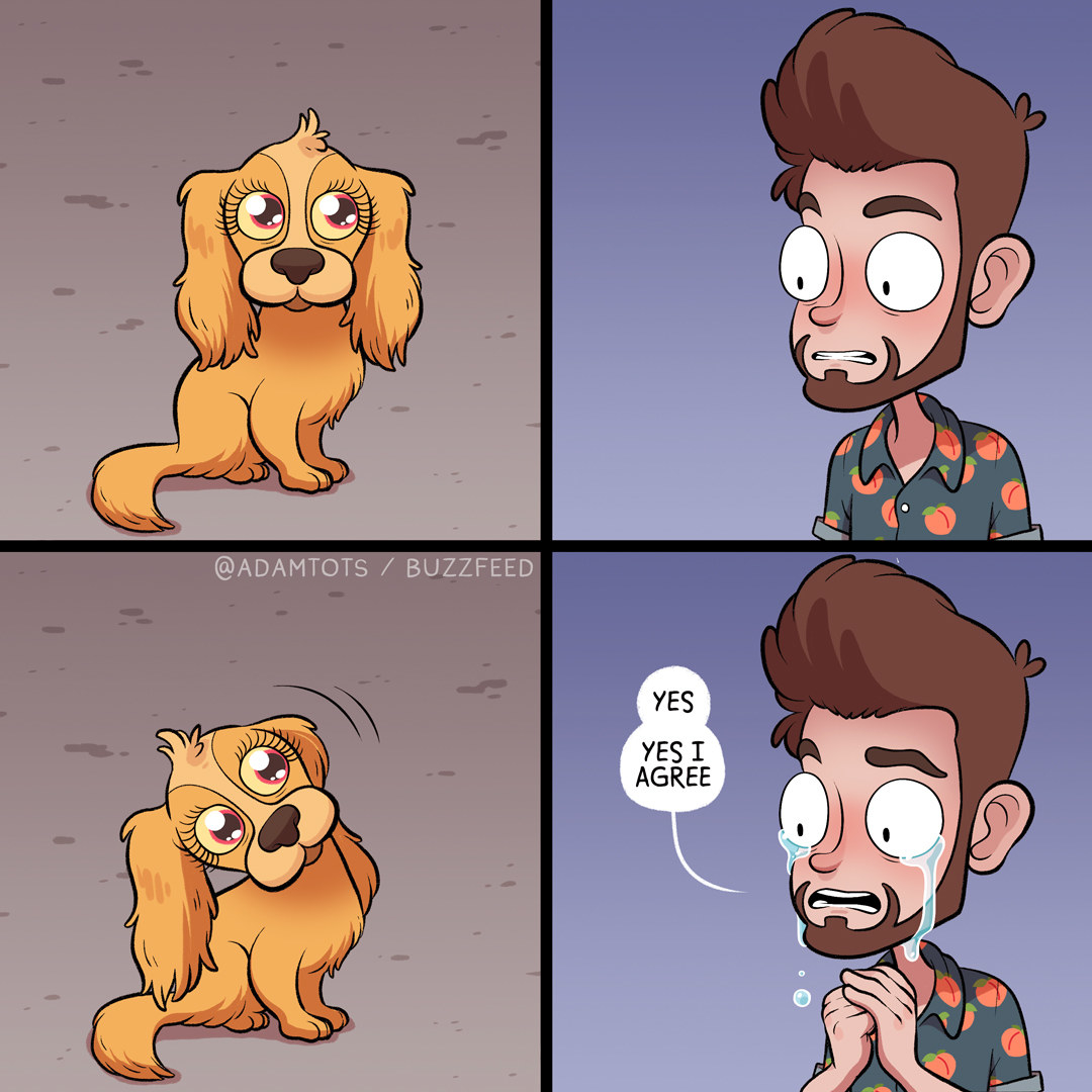 10 dolog, ami minden gazdinak ismerős lesz 10