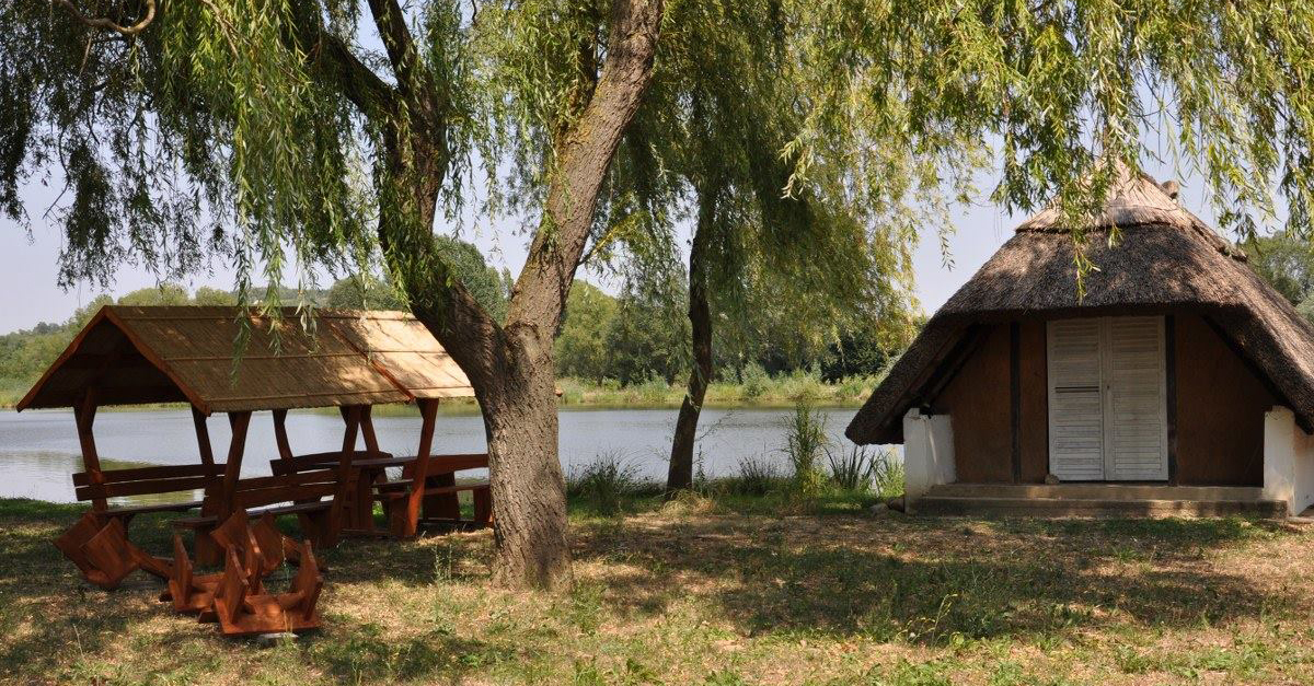 Kutyastrand lesz Hirden