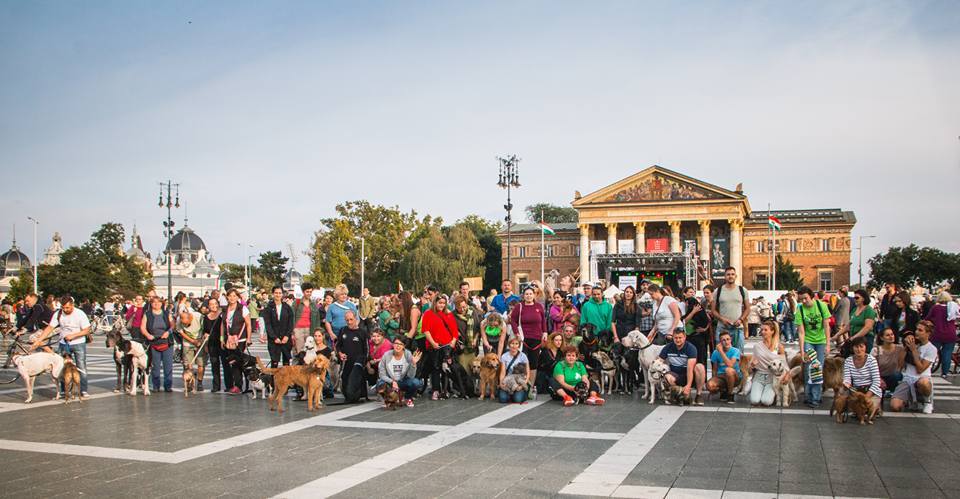 Óriási kutyás tömeg vonul fel Budapest utcáin a hétvégén
