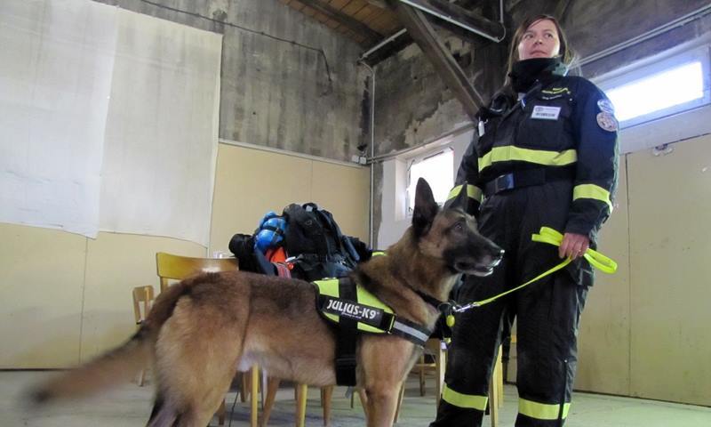 Pinkóczi Diána és Mangó a mentőkutyák bevethetőségi vizsgáján