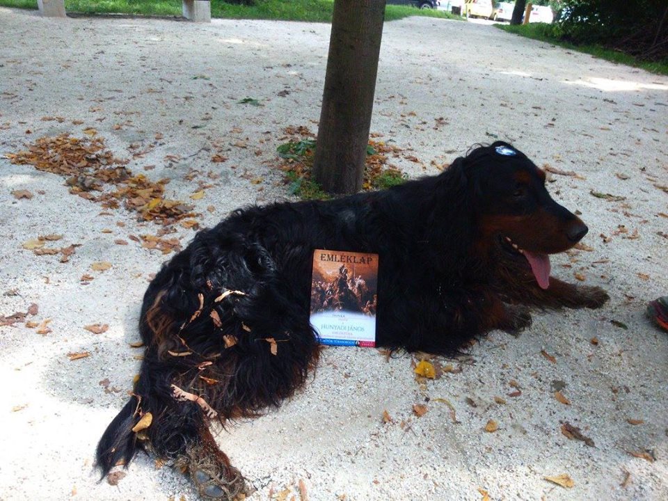 A kutyusok is kapnak emléklapot a túrán való részvételről