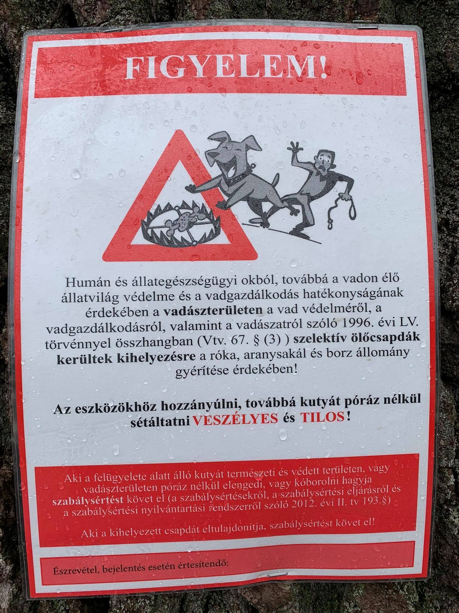 Ölőcsapdákat helyeztek ki Esztergom környékén