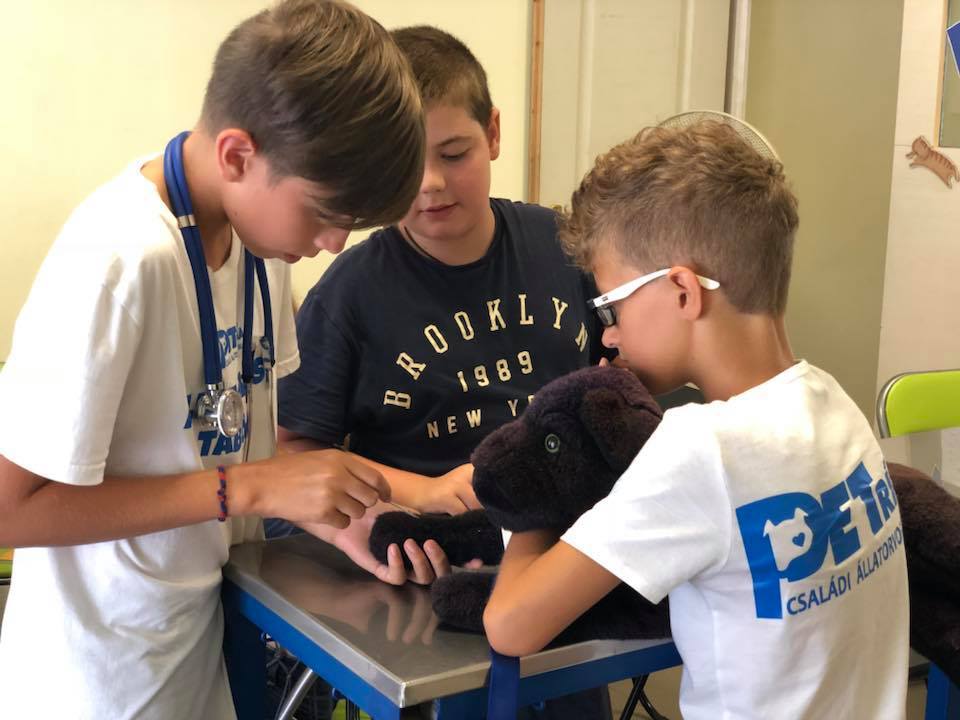 Plüssállaton gyakorolják, hogyan kell injekciót adni a kutyáknak