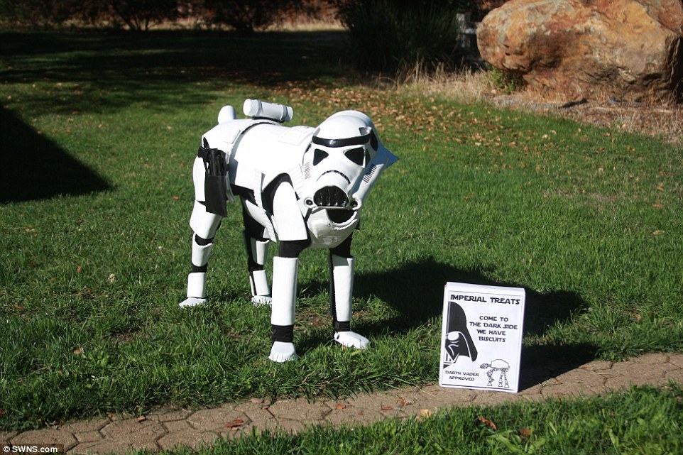 Penny Bark-Bark, a Star Wars jelmezes kutya