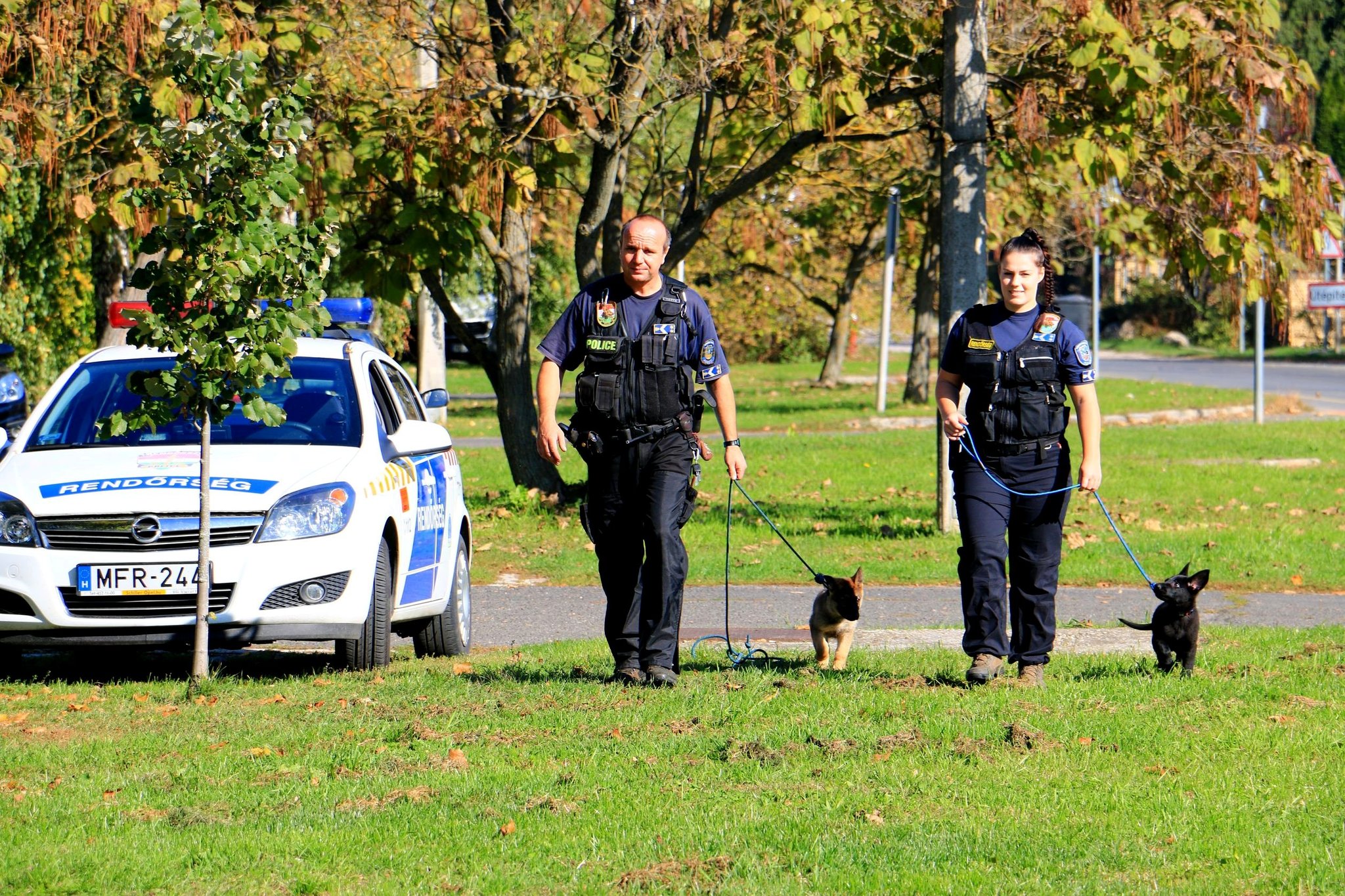 Rendőrkutya kölykök Rendőrkutya kölykök
