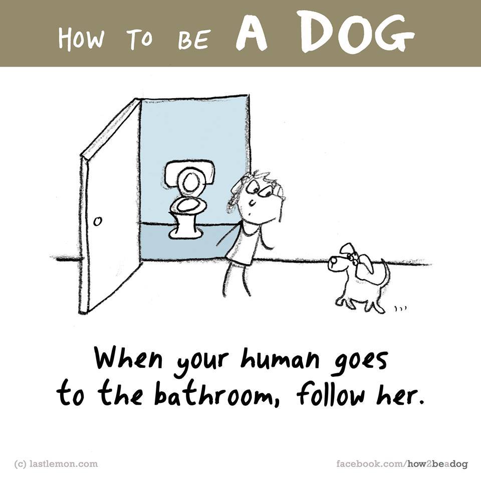 Ha az embered elmegy a fürdőbe, vagy a mosdóba, feltétlen kövesd őt! Ha az embered elmegy a fürdőbe, vagy a mosdóba, feltétlen kövesd őt!