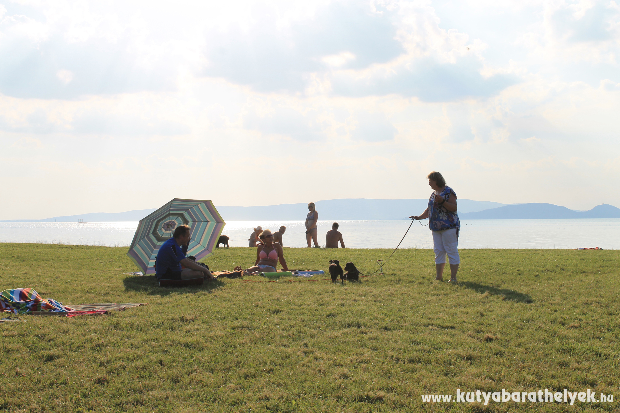 Végre kutyával is pihenhetünk a Balaton-parton