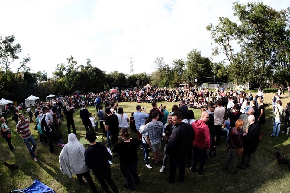 A II. Tacskó Találkozó rengeteg érdeklődőt vonzott