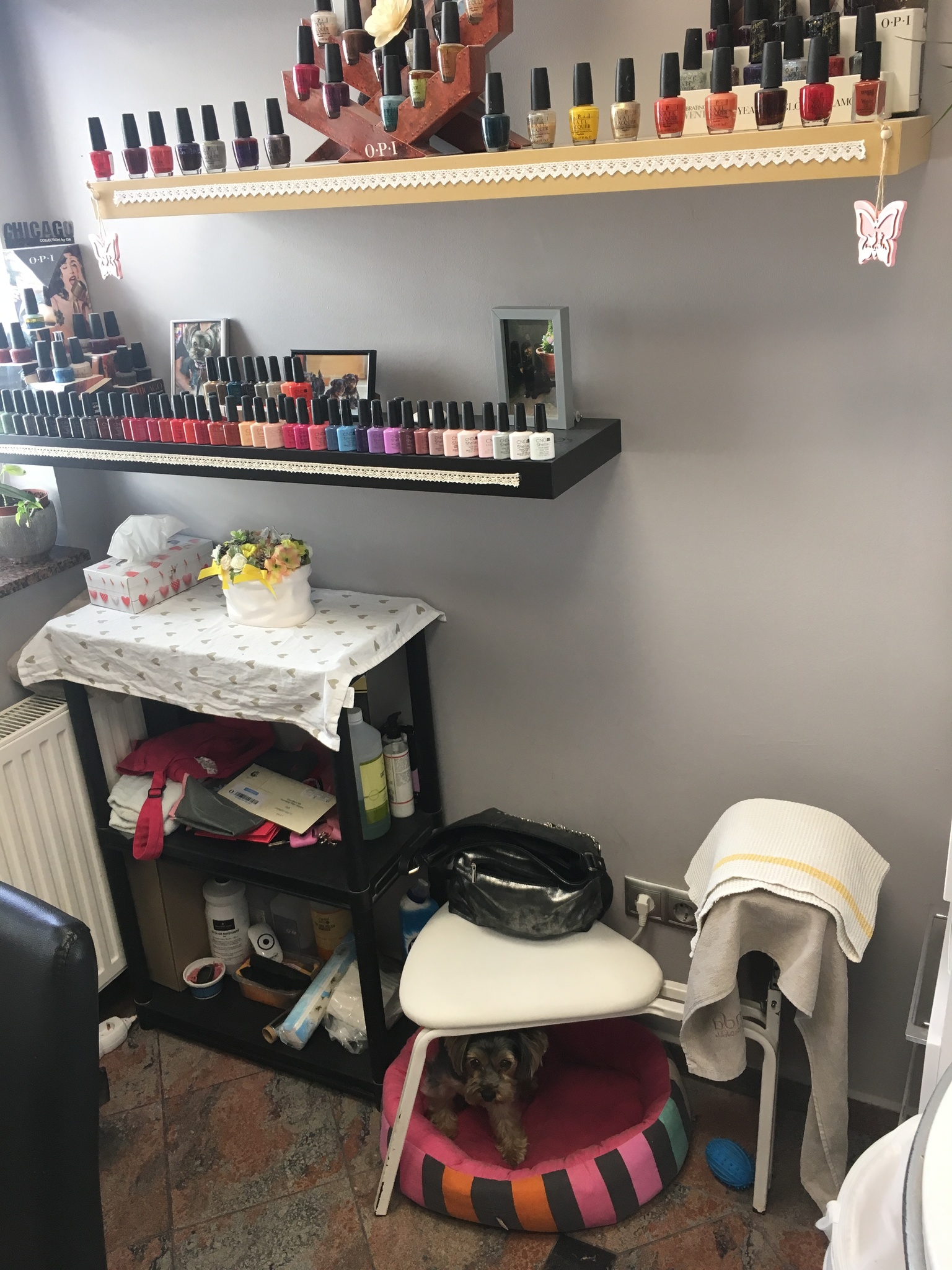 Kutyabarát szalon - Lara Nails - fekhely a kutyáknak