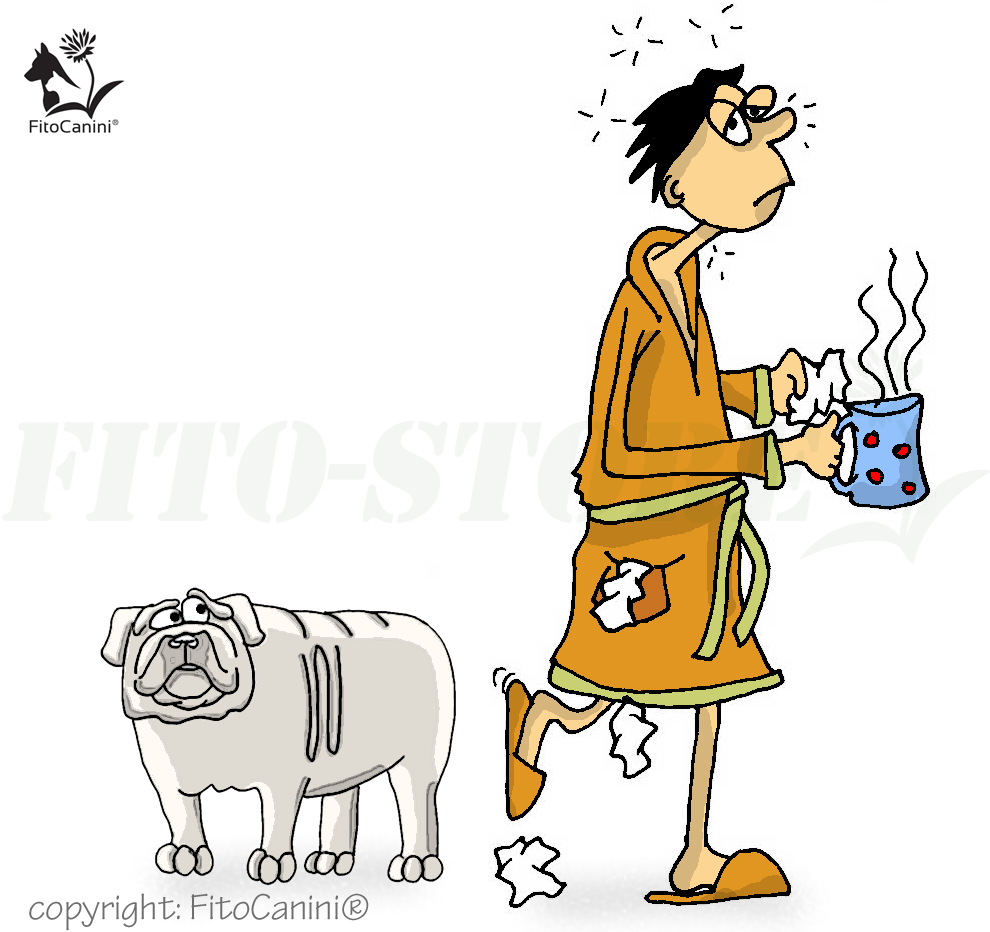 Felfázás kutyánál Felfázás kutyánál