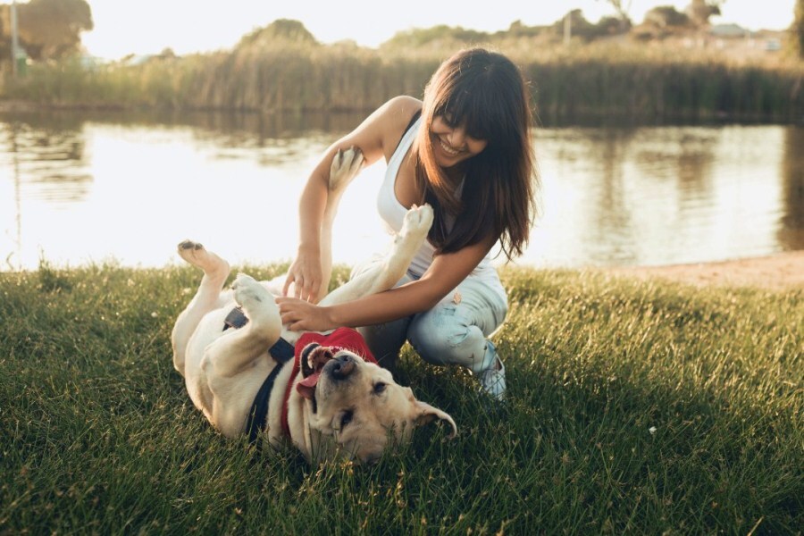 A kutyák is lehetnek csiklandósak és élvezhetik a mókát