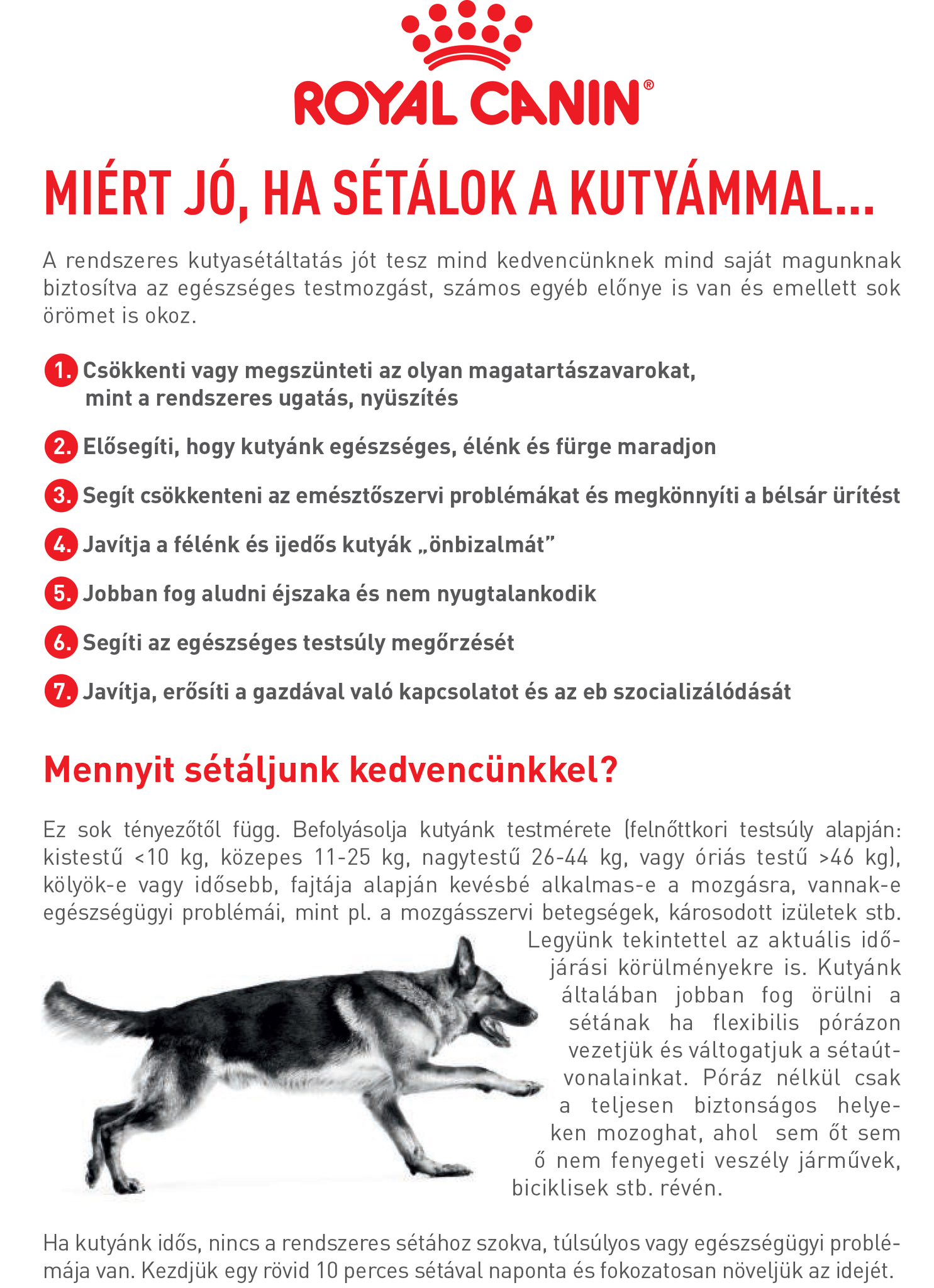 Kutyasétáltatási Ajánlások 1