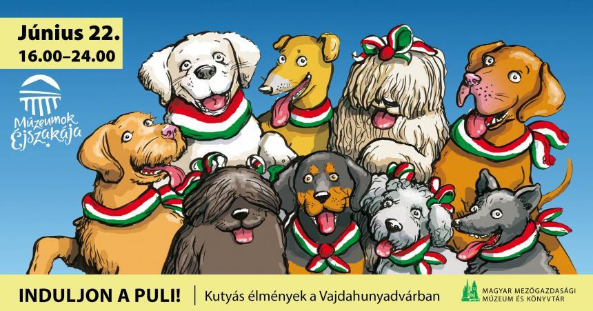 Magyar Kutyafajták Éjszakája