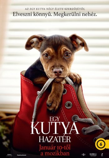 Az Egy kutya hazatér már látható a mozikban
